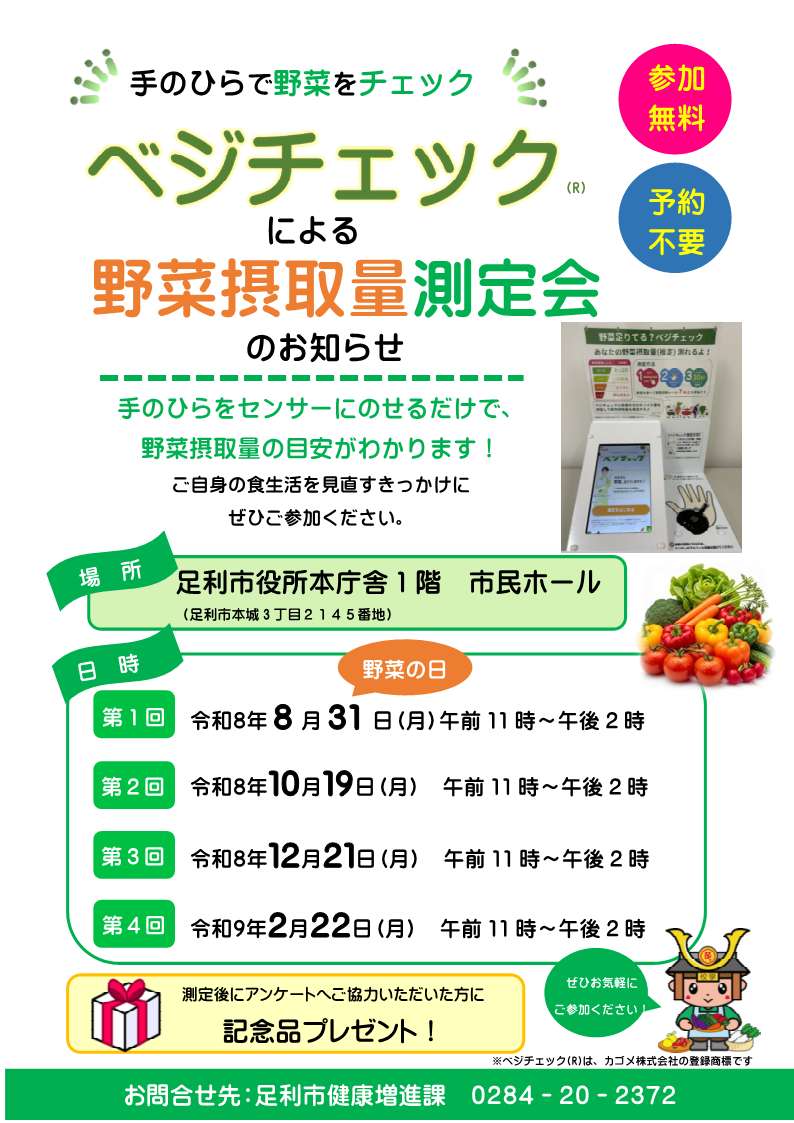 市民ホールチラシ案 市民ホールチラシ案