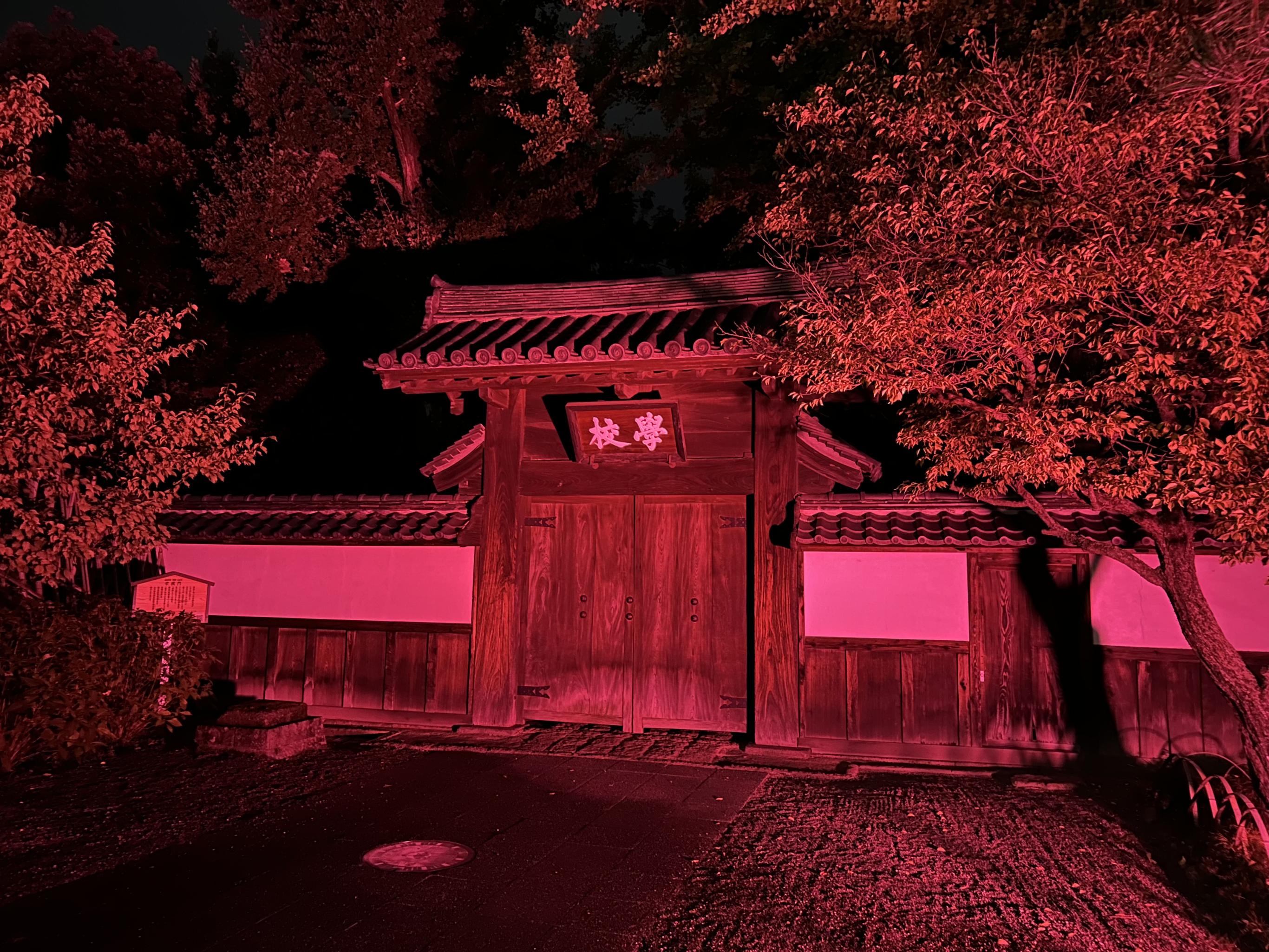 ライトアップされた学校門の写真