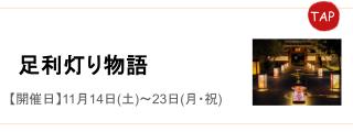 足利灯り物語