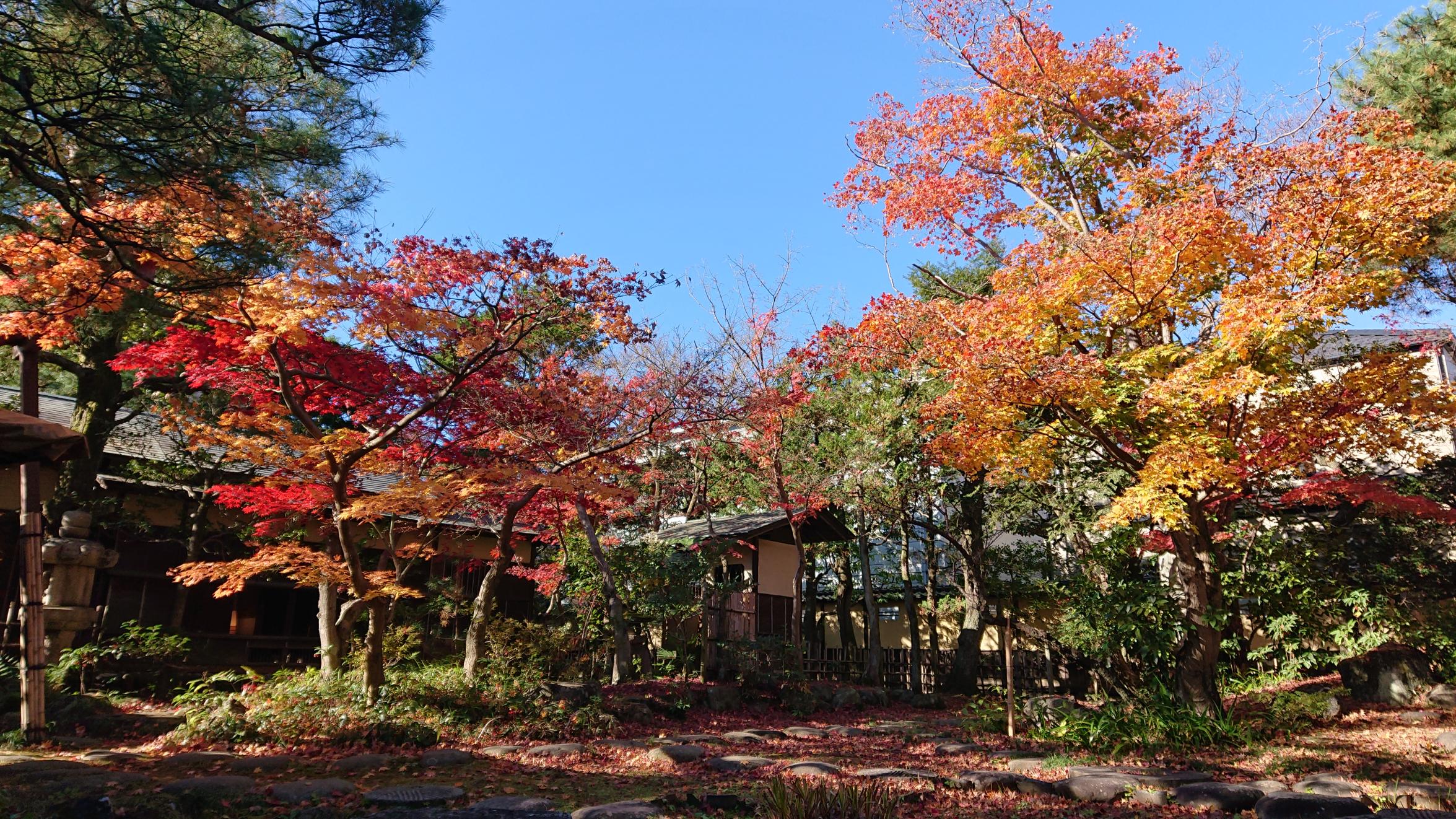 DSC_2515 DSC_2515