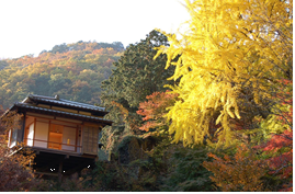 行道山浄因寺の紅葉