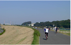 渡良瀬川の土手のサイクリングロード