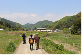 里山の風景