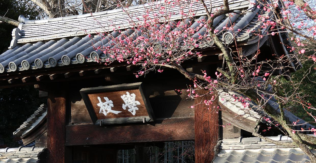 足利学校門と寒紅梅