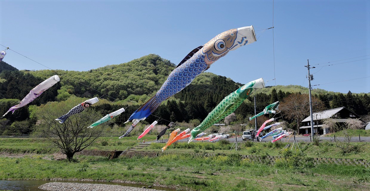 こいのぼり（名草町）