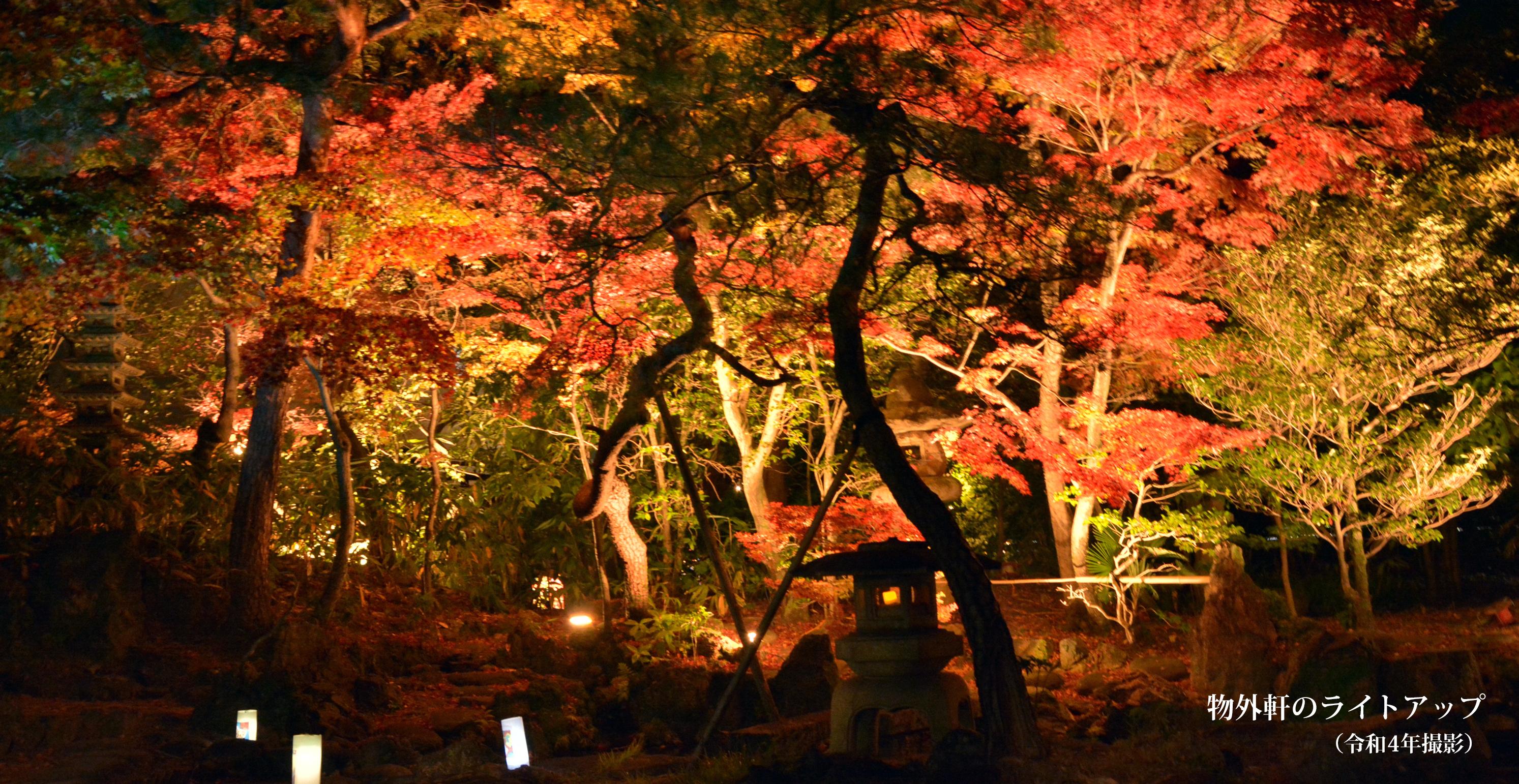 物外軒のライトアップ