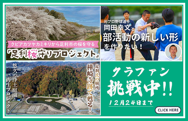 ふるさと納税型クラウドファンディング