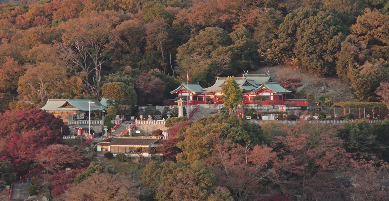 足利織姫神社の紅葉